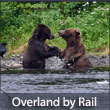 Alaska Railroad Overland Tour